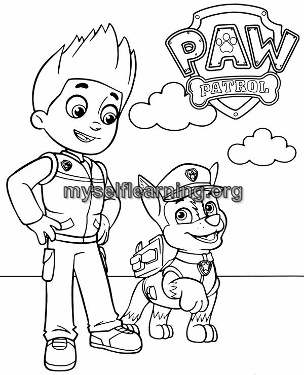 Paw patrol cartoons coloring sheet instant download