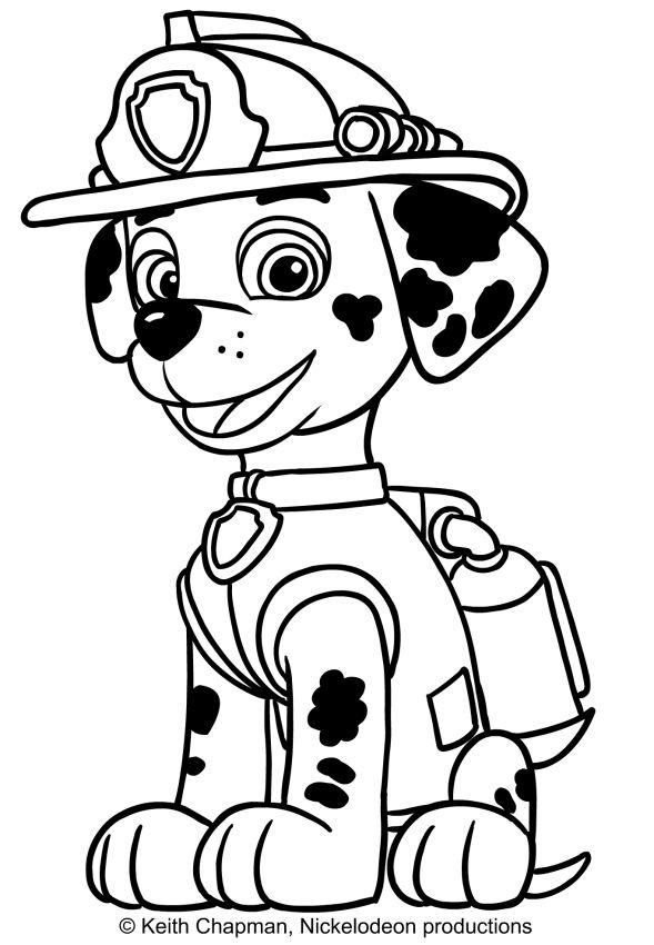 Marshall paw patrol coloring page paw patrol coloring paw patrol coloring pages marshall paw patrol