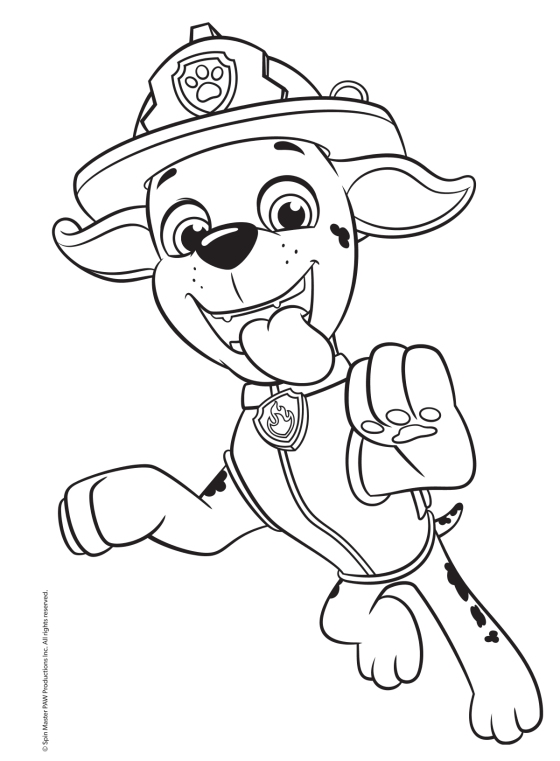 Paw patrol my first coloring book paw patrol â author golden books illustrated by golden books â random house childrens books