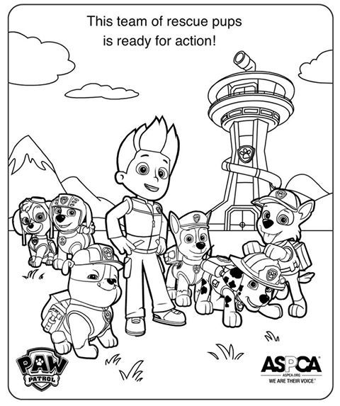 Paw patrol coloring pages adoption k