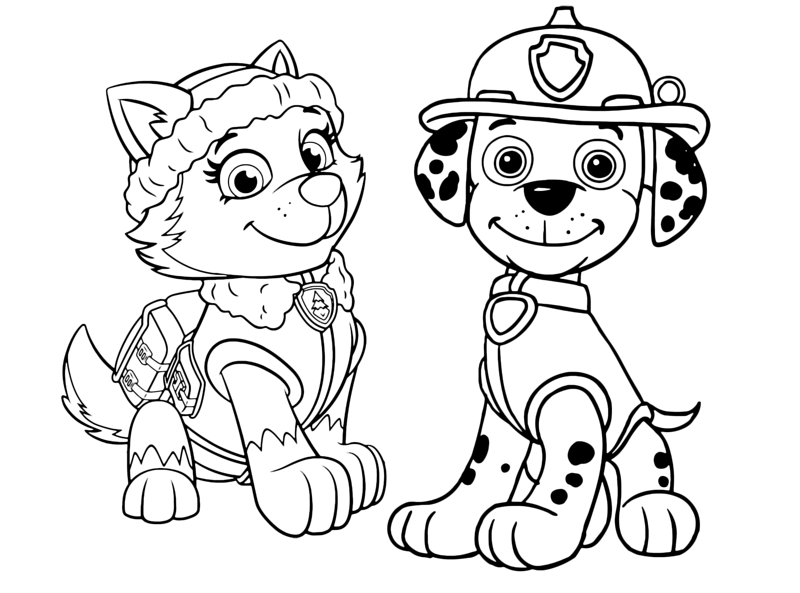 Paw patrol