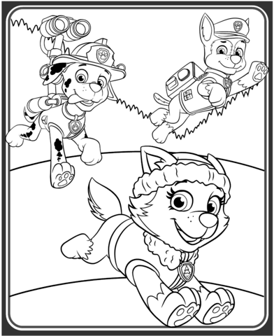 Everest marshall and chase coloring page free printable coloring pages