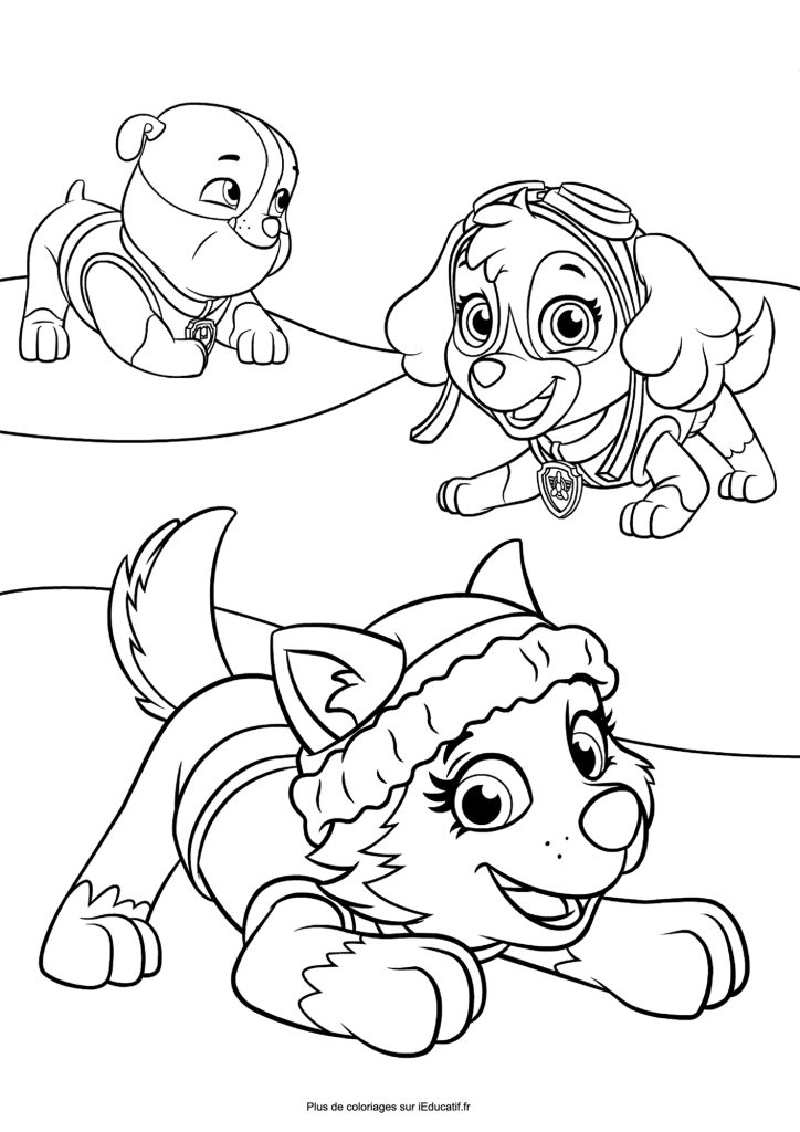 Paw patrol coloring pages