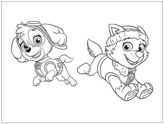 Skye and everest paw patrol coloring page