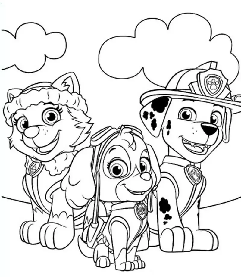 Everest skye and marshall in paw patrol fãrbung seite