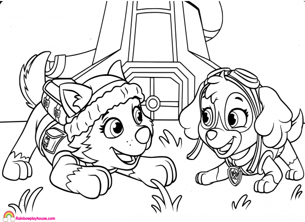 Paw patrol skye and everest coloring page