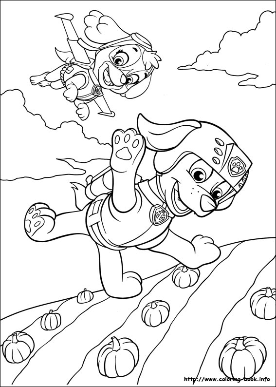 Paw patrol coloring picture