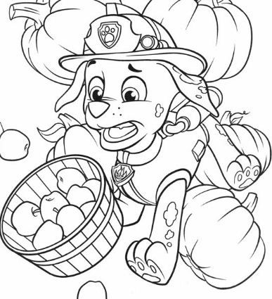 Paw patrol coloring page