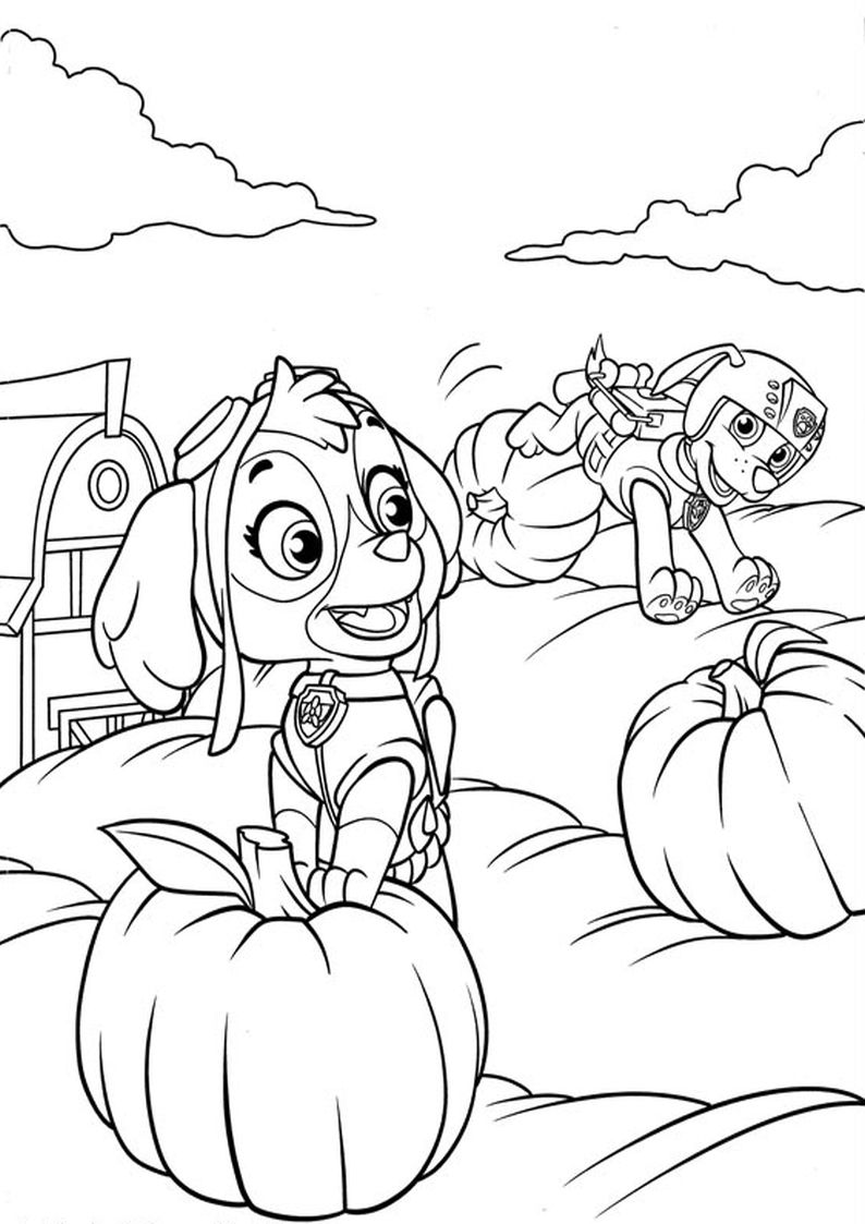 Printable paw patrol coloring pages for kids paw patrol coloring paw patrol coloring pages pumpkin coloring pages