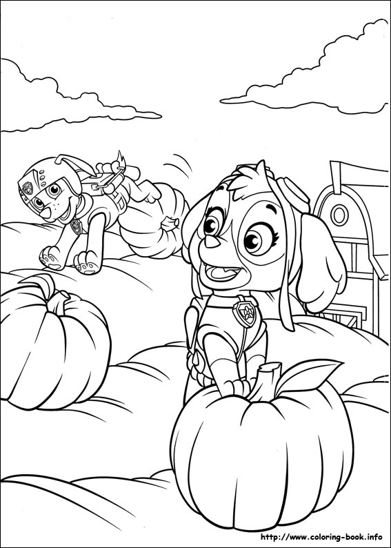 Paw patrol coloring picture