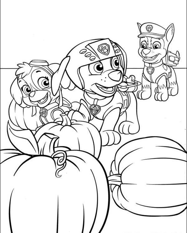 Paw patrol coloring pages