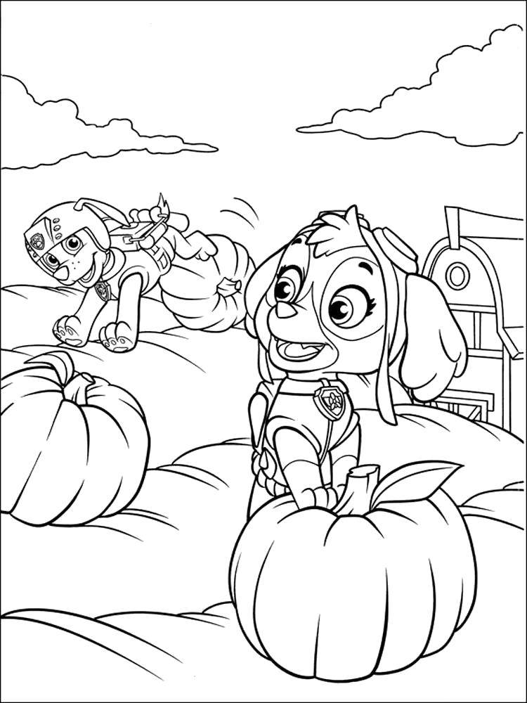 Online coloring pages coloring page skye and zuma paw patrol download print coloring page