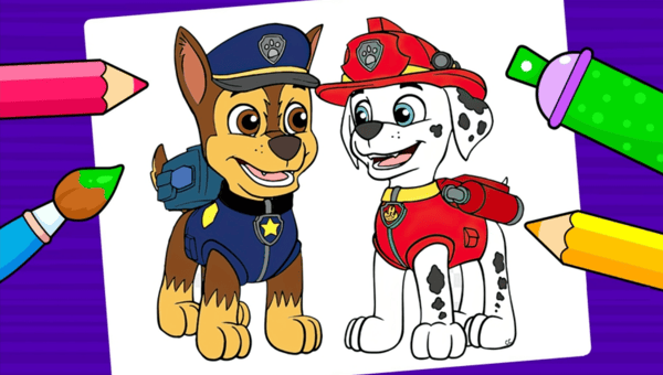 Paw patrol