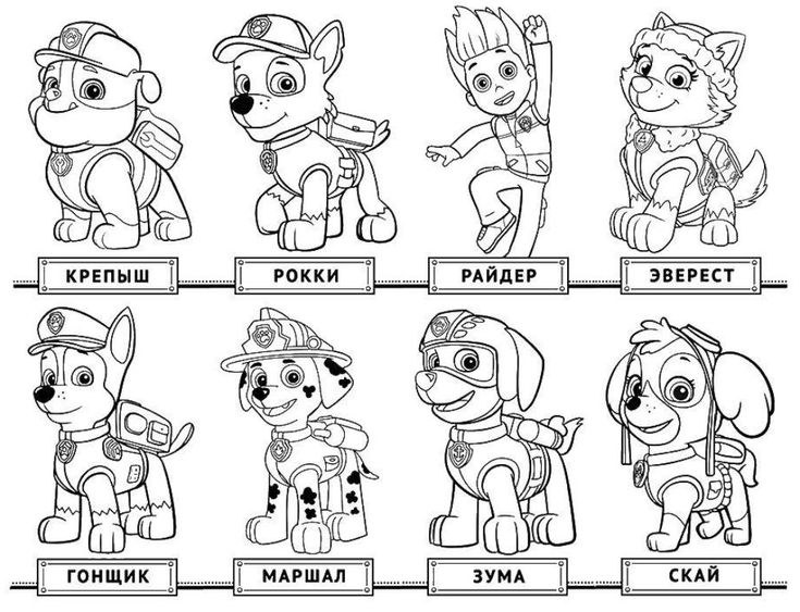 Paw patrol coloring pages pictures print for free colorear patrulla canina patrulla canina para pintar paw patrol para colorear