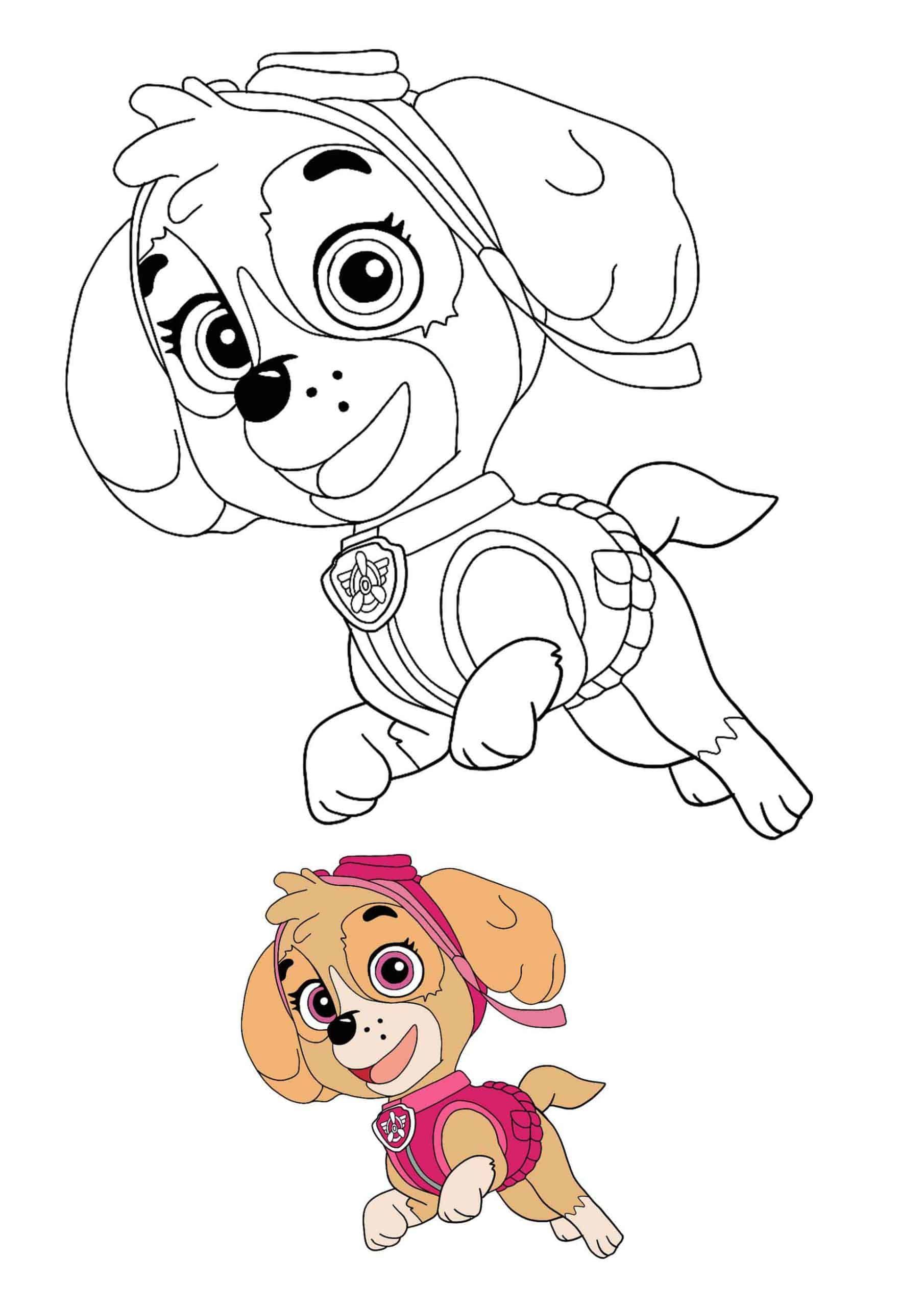 Paw patrol coloring pages