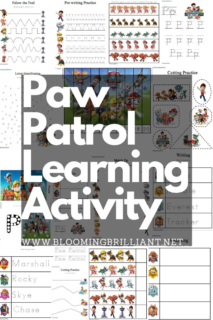 Paw patrol preschool learning activity pack