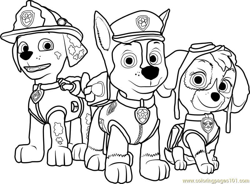 Paw patrol printable coloring page for kids and adults paw patrol coloring pages paw patrol coloring paw patrol printables