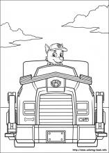 Paw patrol coloring pages on coloring