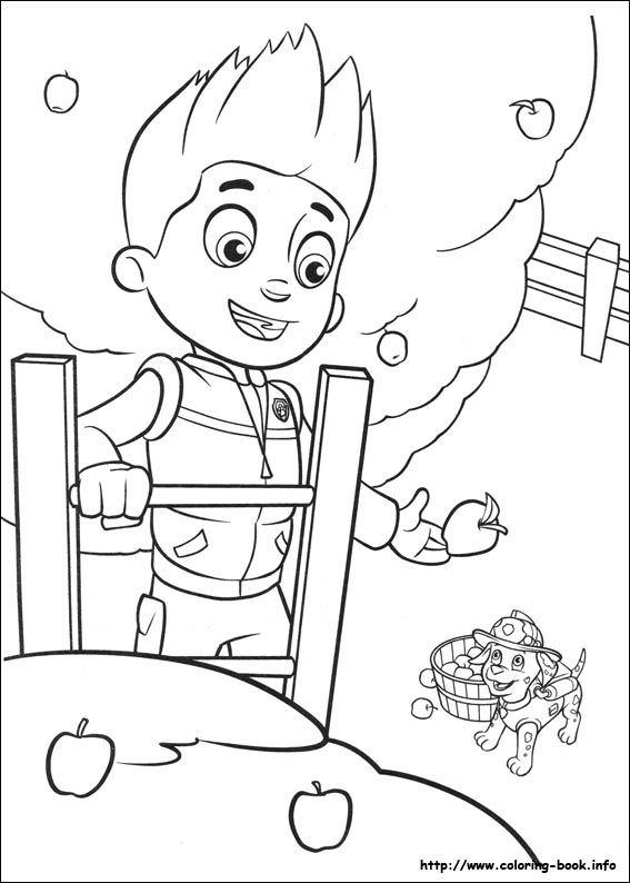 Paw patrol coloring picture