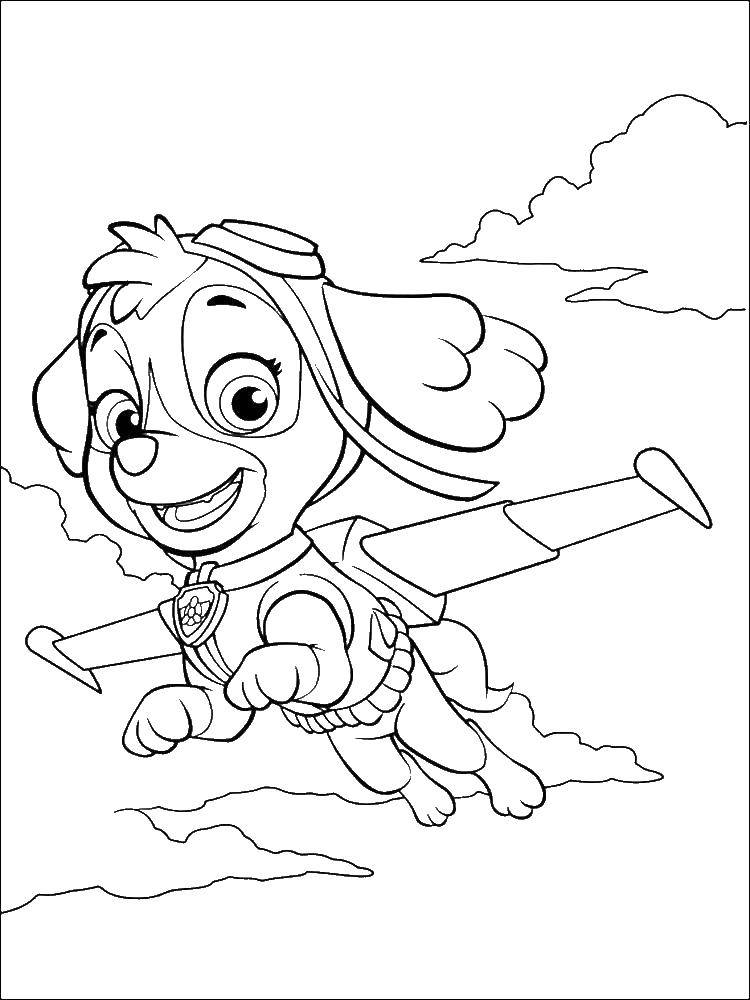 Online coloring pages coloring page skye paw patrol download print coloring page