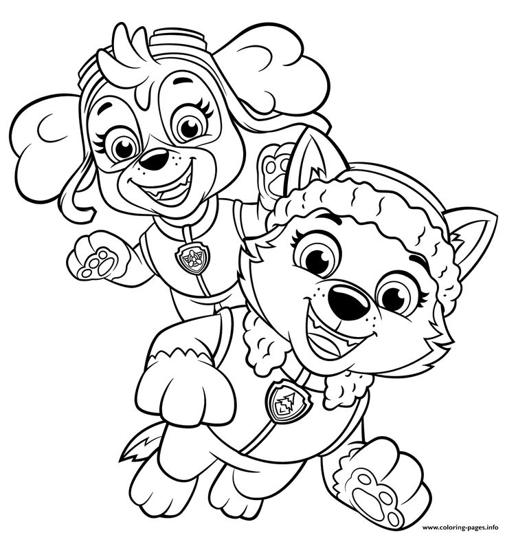 Print skye and everest coloring pages paw patrol coloring paw patrol coloring pages skye paw patrol