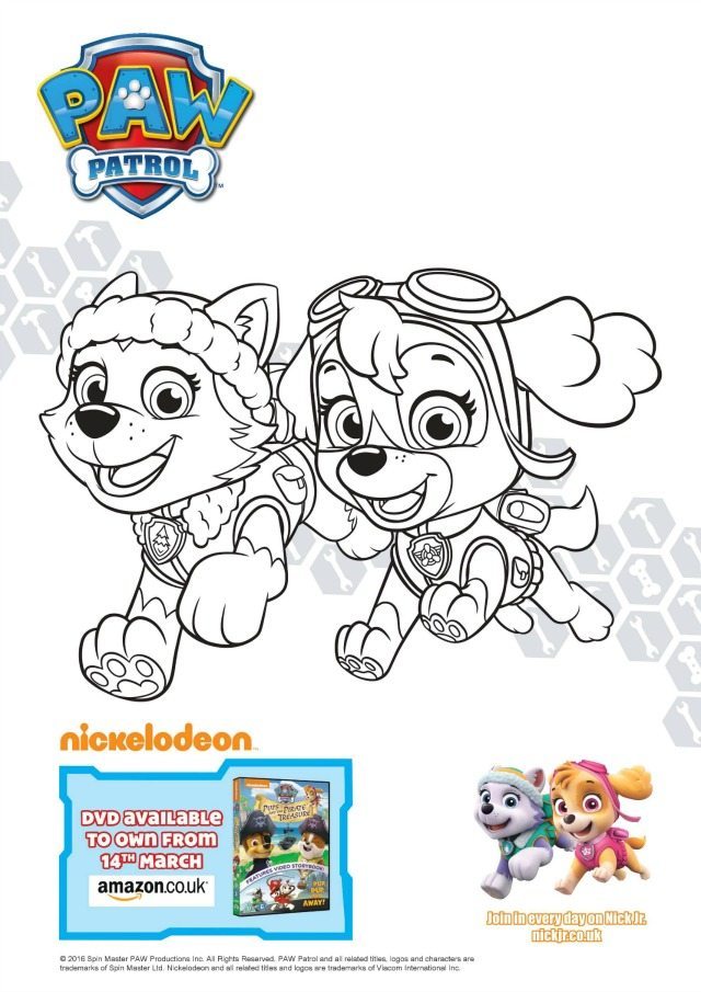 Paw patrol colouring and activity sheets pups and the pirate treasure