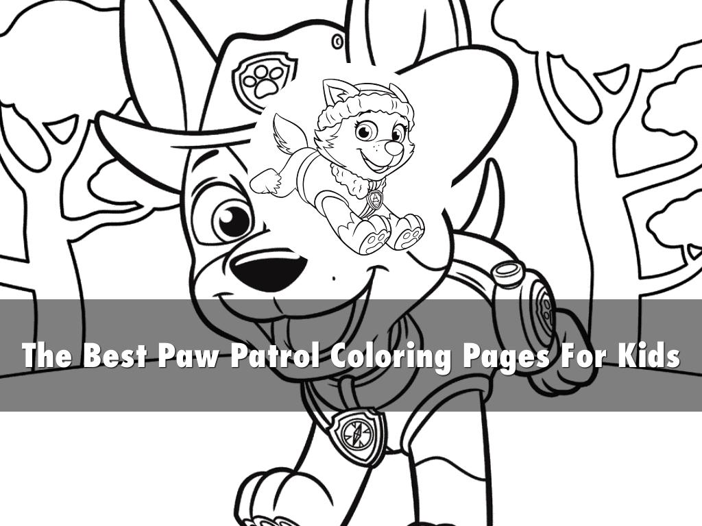 The best paw patrol coloring pages for kids by