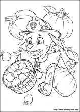 Paw patrol coloring pages on coloring