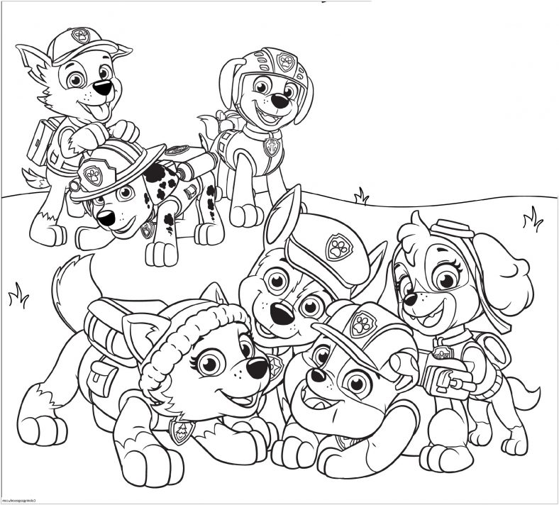 Paw patrol coloring pages paw patrol coloring pages paw patrol coloring cartoon coloring pages