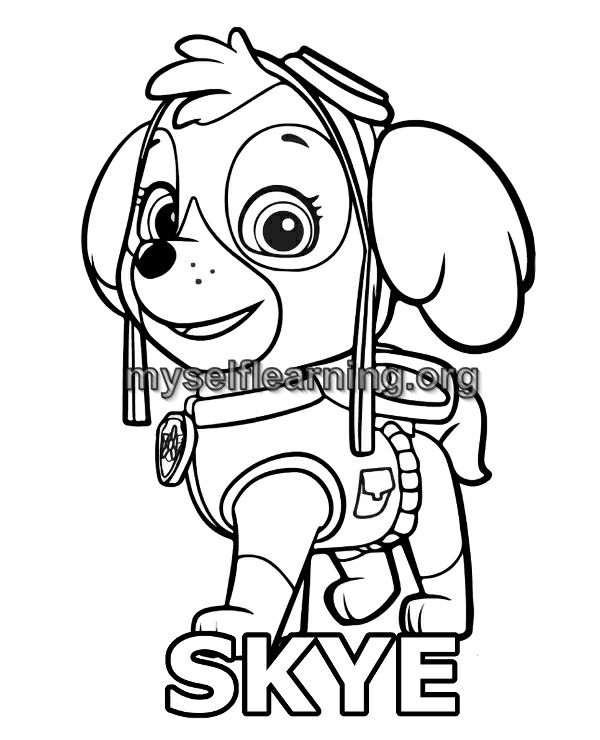 Paw patrol cartoons coloring sheet instant download