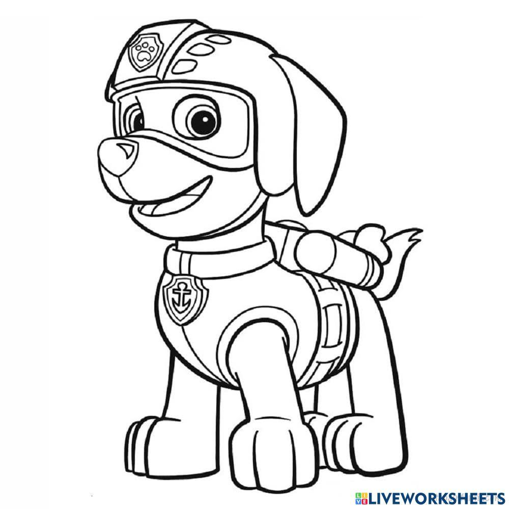 Paw patrol worksheet live worksheets