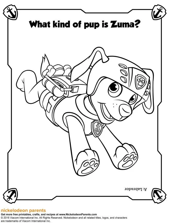 Paw patrol activity sheets and colouring game on