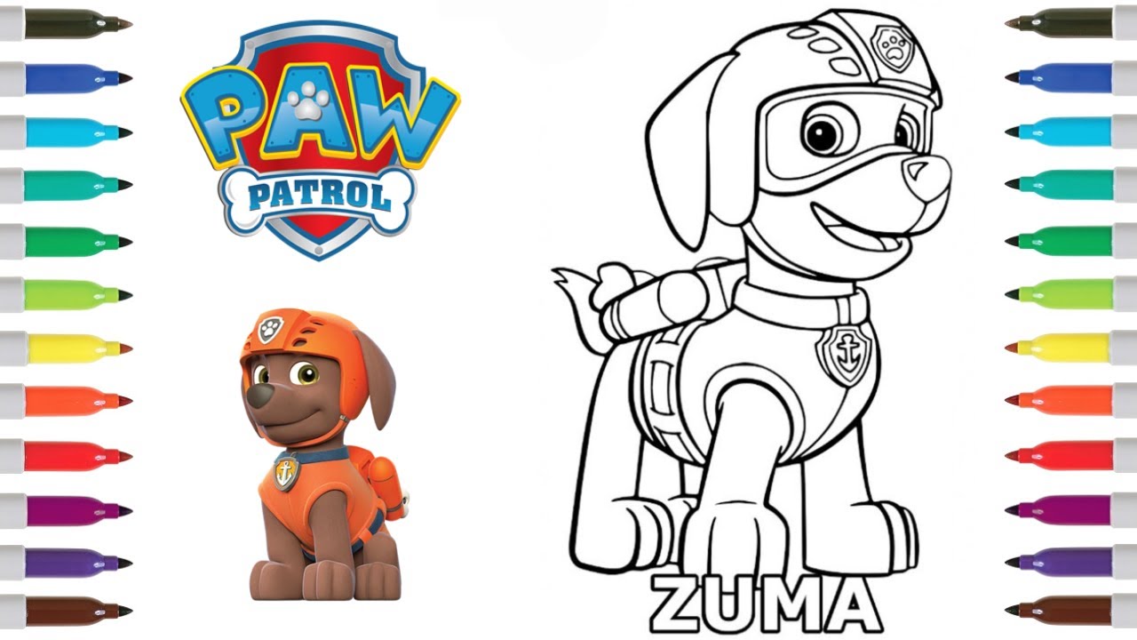 Paw patrol coloring book page zuma zuma coloring page