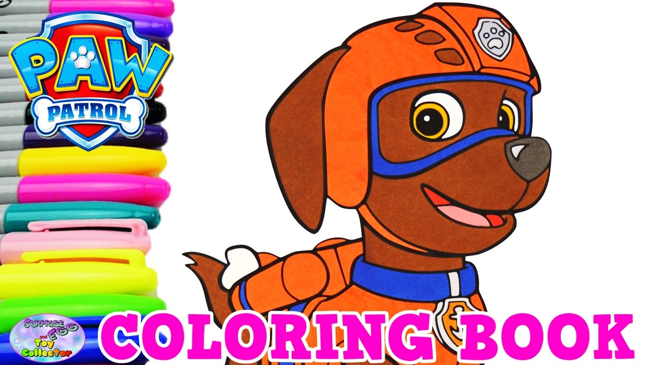 Paw patrol coloring book zuma pup episode surprise egg and toy collector setc