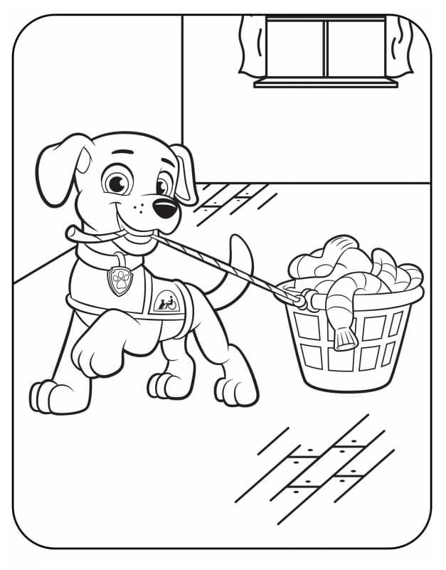 I redrew this colouring page as zuma doing a beach clean up rpawpatrol