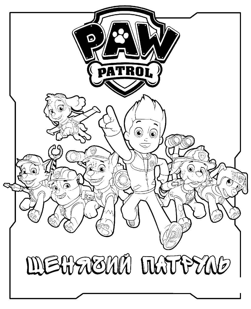 Online coloring pages coloring page paw patrol to the rescue paw patrol download print coloring page