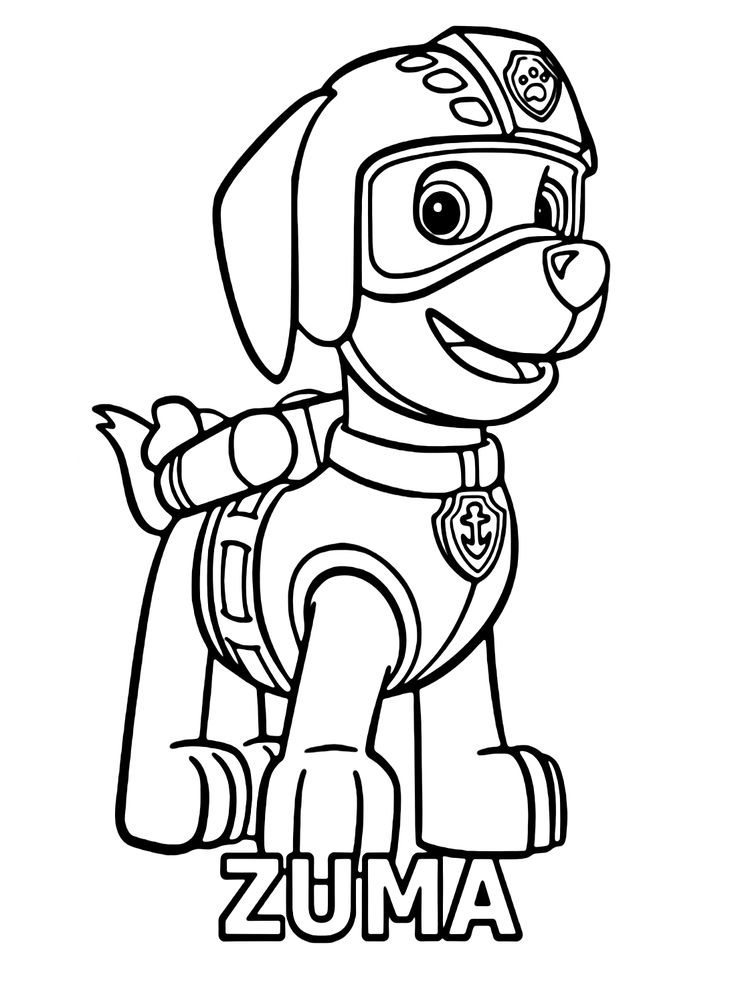 Zuma paw patrol coloring pages