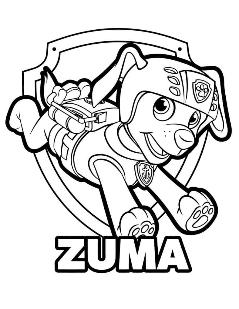 Cool zuma paw patrol coloring page