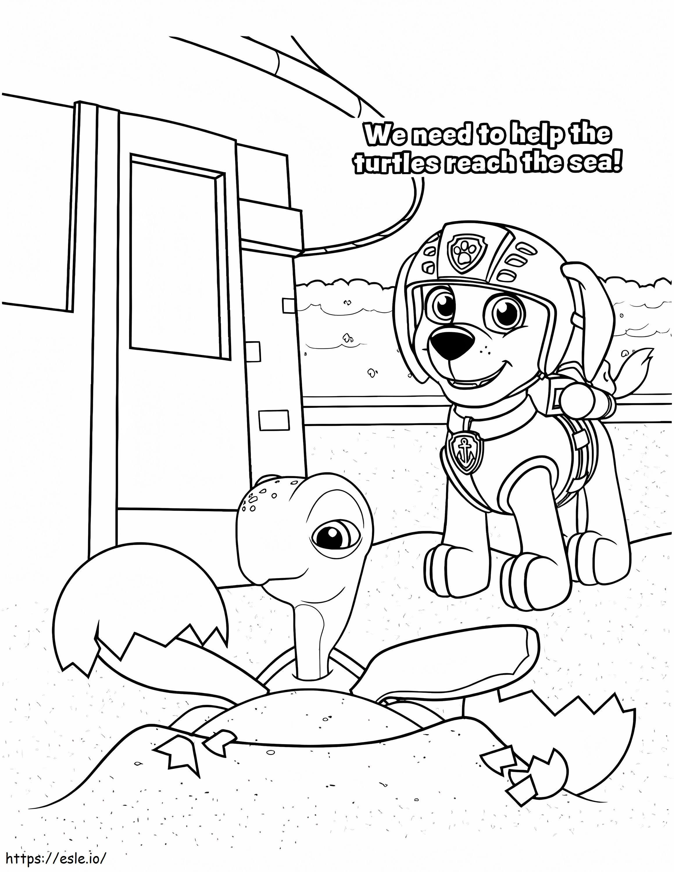 Paw patrol zuma coloring page