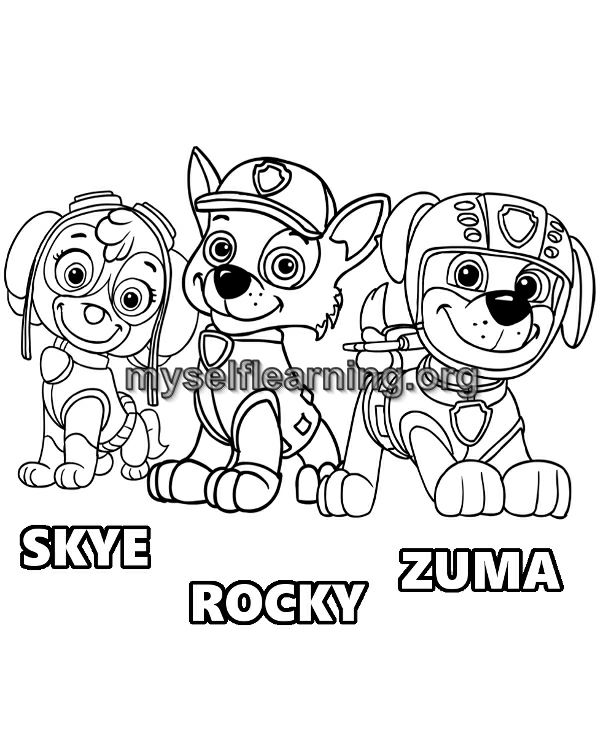 Paw patrol cartoons coloring sheet instant download