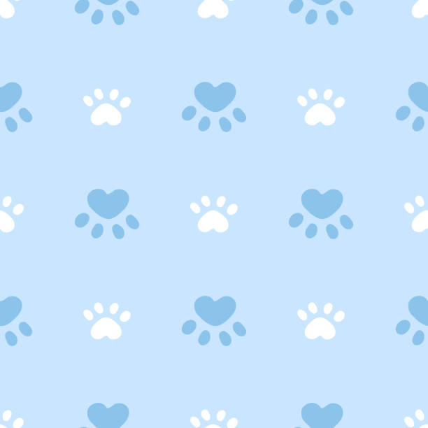 Download paws backgrounds Bhmpics