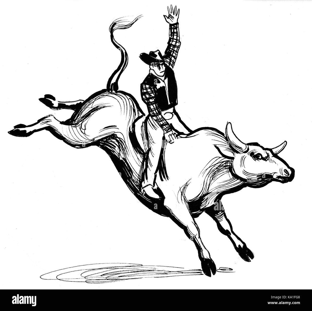 Bull riding black and white stock photos images