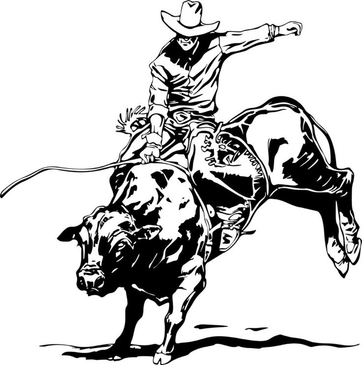 Black and white bull bull riding bull art bull riders