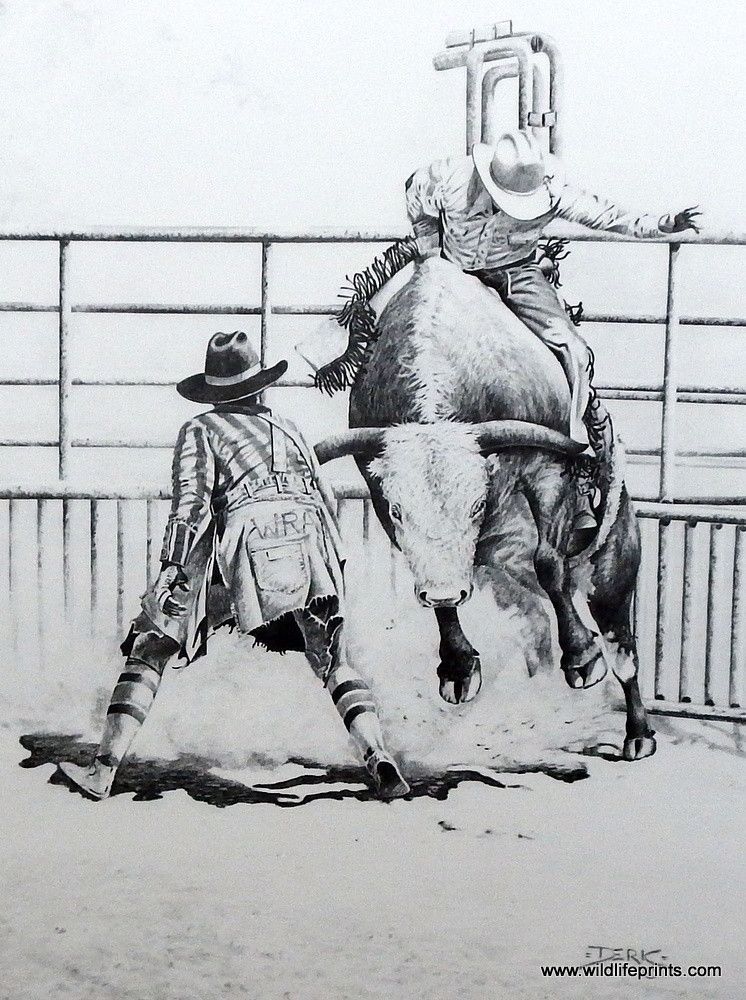 Artist derk hansen unframed rodeo rider and clown art print bull riding bull riding bull riders cowboy art