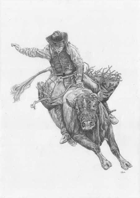 Rodeo four drawings