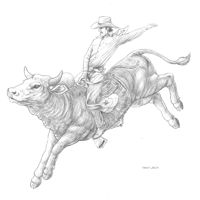 Pbr ideas pbr bull riders bull riding