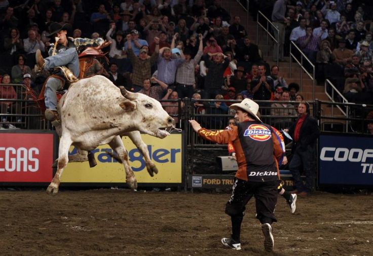 This is so awesome well maybe not for that guy pbr bull riding bull riding bull riders