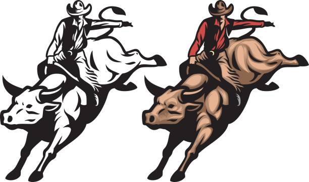 Bull riding stock illustrations royalty