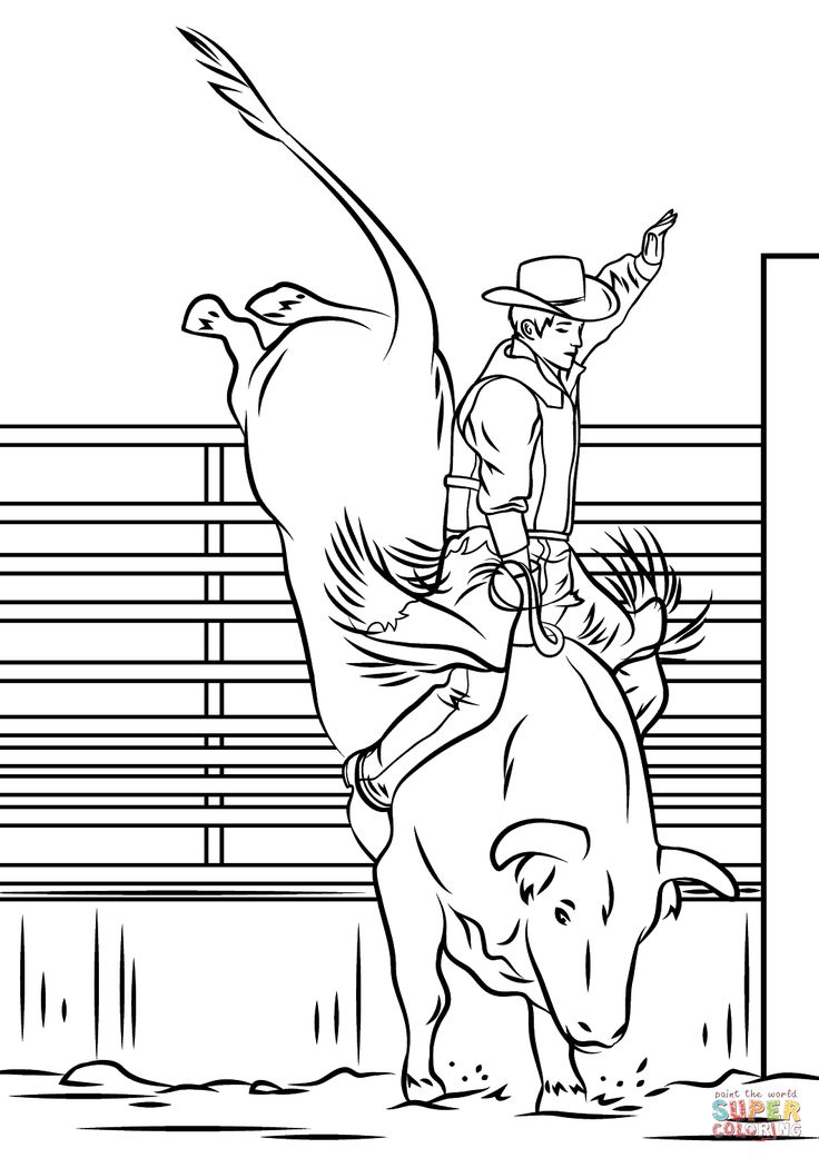 Image result for rodeo drawings easy bull riding horse coloring pages animal coloring pages coloring pages