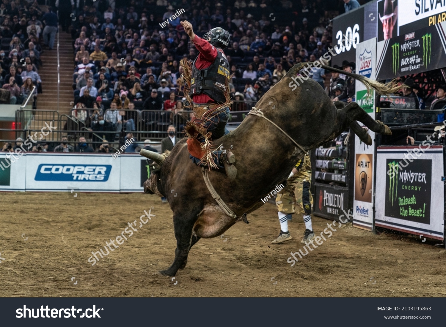 Imãgenes fotos de stock objetos en d y vectores sobre ride bull